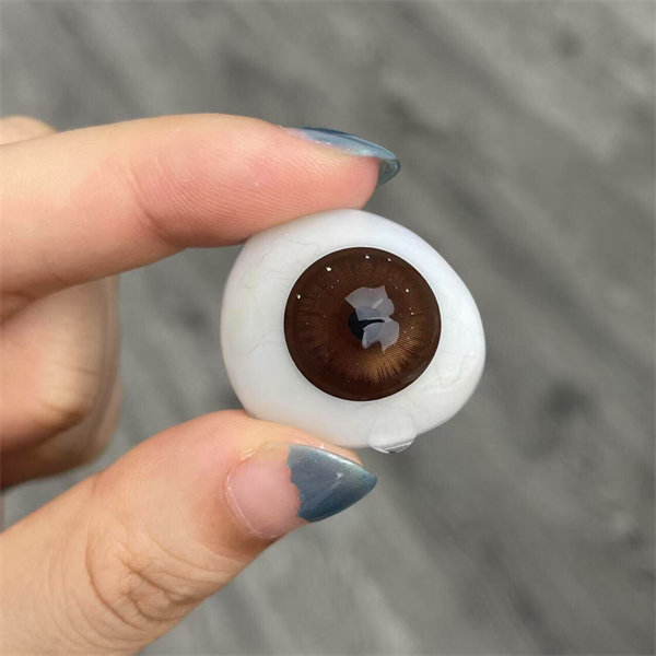 【1060】半年拋 GREEN/BROWN/RED 綠/棕/紅 0-800度