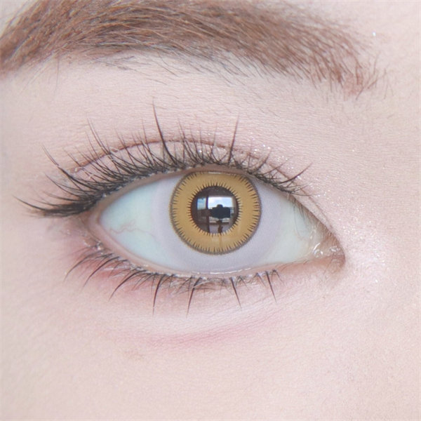 【1109】半年拋 RED/YELLOW/BLUE 紅/棕黃/藍 0-800度