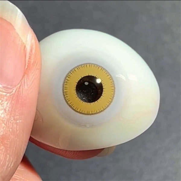 【1109】半年拋 RED/YELLOW/BLUE 紅/棕黃/藍 0-800度