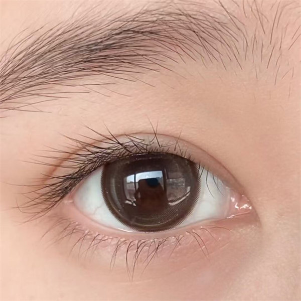 【1201】半年拋 BROWN/棕 0-1000度
