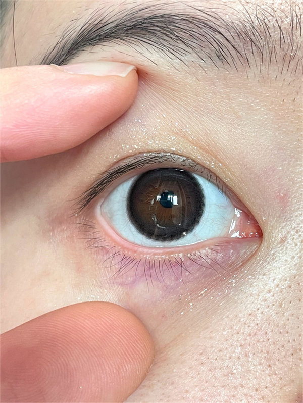 【495】半年拋 BLACK/BROWN 黑/棕色 0-800度