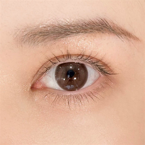 【1389】日抛 BROWN/棕  0-800度