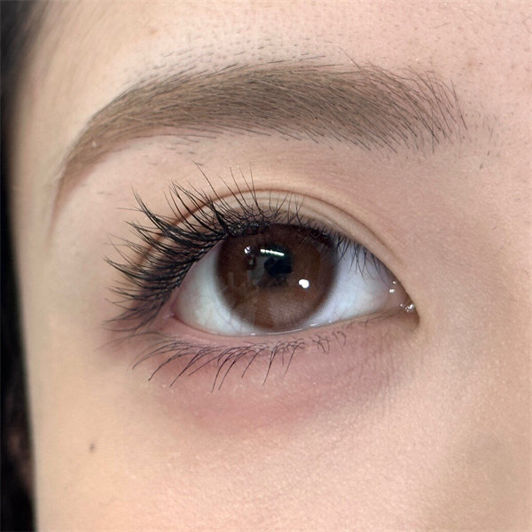 【1265】日拋 COFFEE/BROWN  咖/棕 0-800度