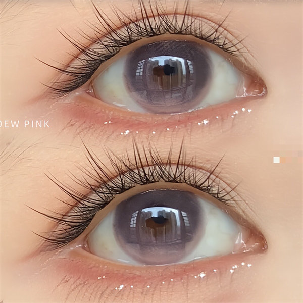 【1433】半年拋  VIOLET/紫 0-800度