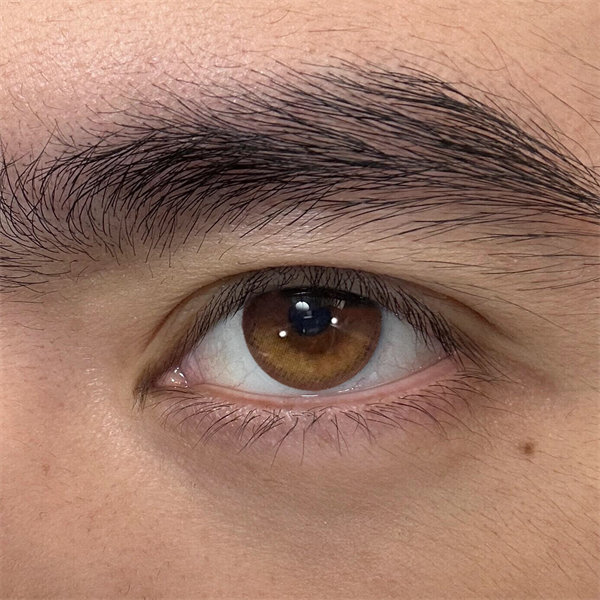 【1510】半年拋 BROWN/琥珀棕 0-800度