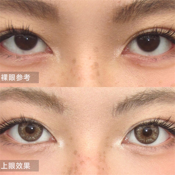 【1573】半年拋 BROWN/棕 0-800度