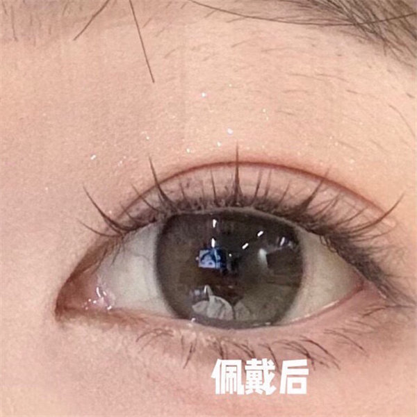 【1561】半年拋 BROWN/BLUE  黑棕/藍 0-1000度