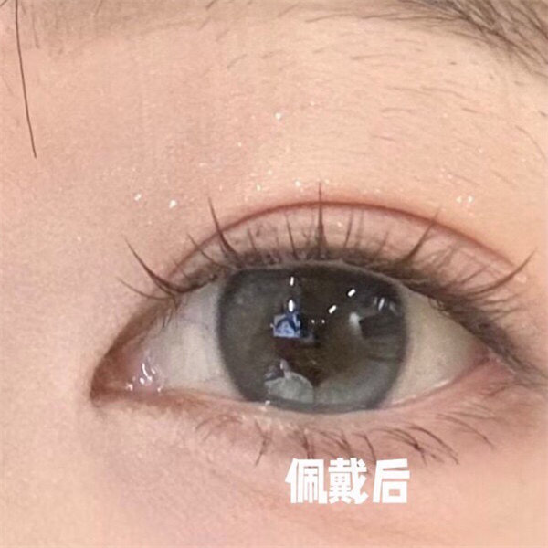 【1561】半年拋 BROWN/BLUE  黑棕/藍 0-1000度