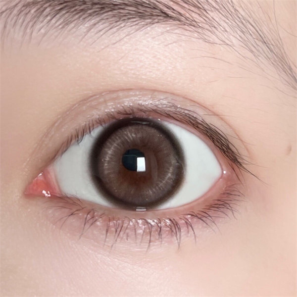 【1608】半年拋 BROWN/棕  0-800度