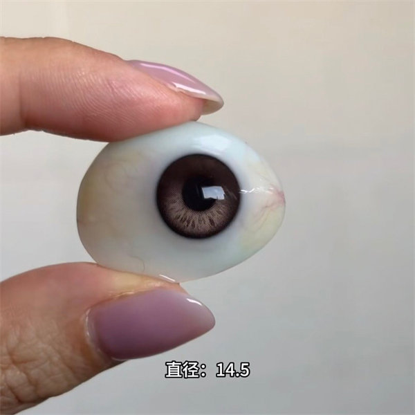 【1417】日拋 HAZEL/棕褐  0-800度