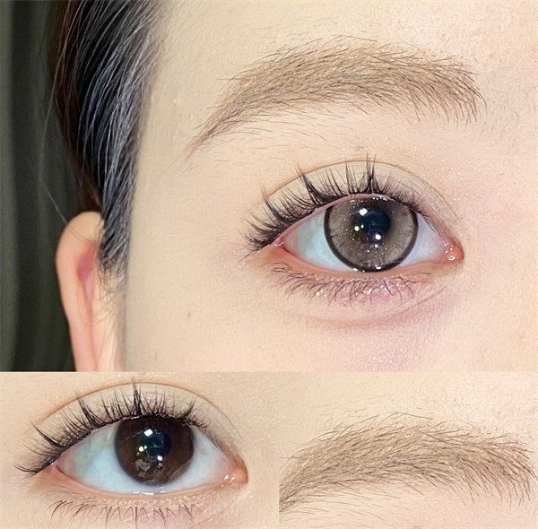 【1820】半年拋 BROWN/GRAY/ORANGE/BLUE/GREEN 棕/灰/橘/藍/綠 0-1000度