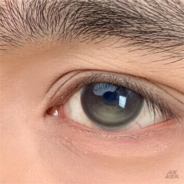 【1827】半年拋 BROWN/棕 0-800度