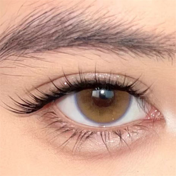 【1828】半年拋 BROWN/RED 棕/紅0-800度