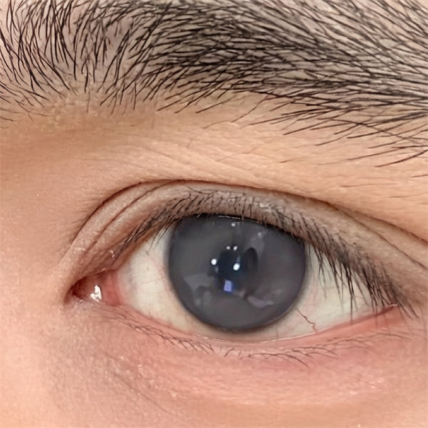 【1898】半年拋 GRAY/灰 0-800度