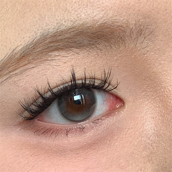 【1952】日拋 GRAY/灰 0-800度