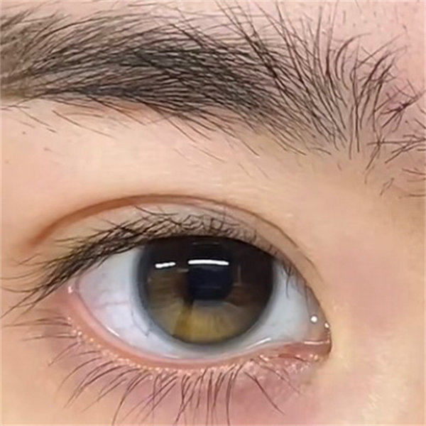 【1955】日拋 VIOL;ET/BROWN 紫/棕 0-800度