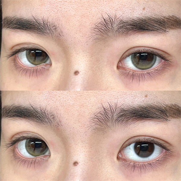 【1961】日拋 GREEN/綠棕 0-800度