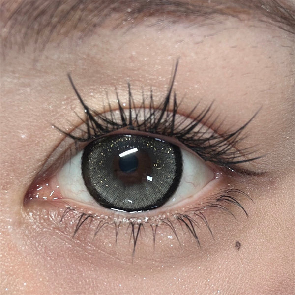 【2005】年拋 GRAY/BLUE/BROWN 灰/藍/棕  0-800度