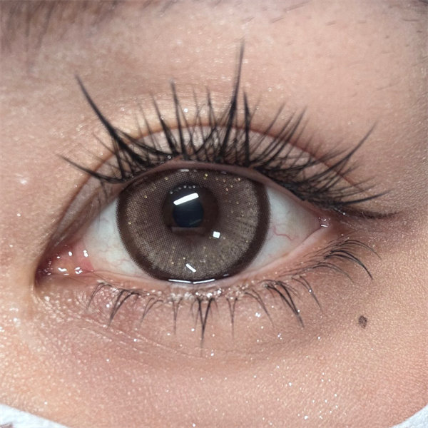 【2005】年拋 GRAY/BLUE/BROWN 灰/藍/棕  0-800度