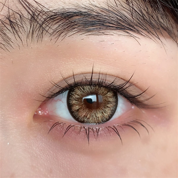 【2023】半年拋 BROWN/棕 0-800度