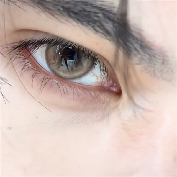 【2049】日拋 BROWN/棕 0-800度