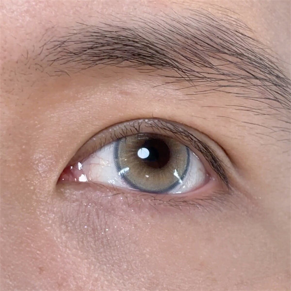 【2061】半年拋 GRAY/BROWN/BLUE/VIOLET 灰/棕/藍/紫 0-800度