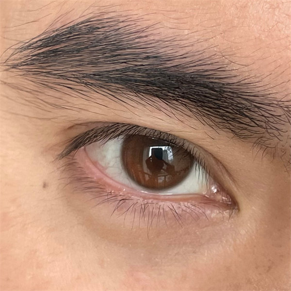 【0478】日抛 GREEN/BROWN 綠/棕 0-800度
