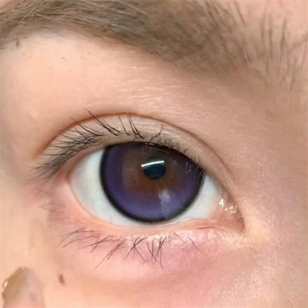 【0776】半年抛 BLUE/VIOLET/PINK/GREEN/BROWN/BLACK 藍/紫/粉/綠/棕/黑 0-800度