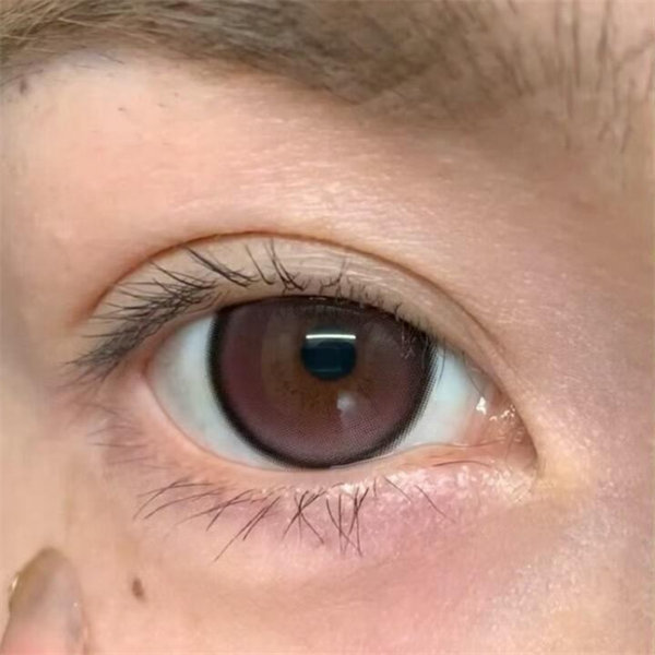 【0776】半年抛 BLUE/VIOLET/PINK/GREEN/BROWN/BLACK 藍/紫/粉/綠/棕/黑 0-800度
