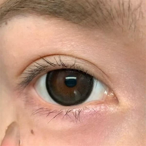 【0776】半年抛 BLUE/VIOLET/PINK/GREEN/BROWN/BLACK 藍/紫/粉/綠/棕/黑 0-800度