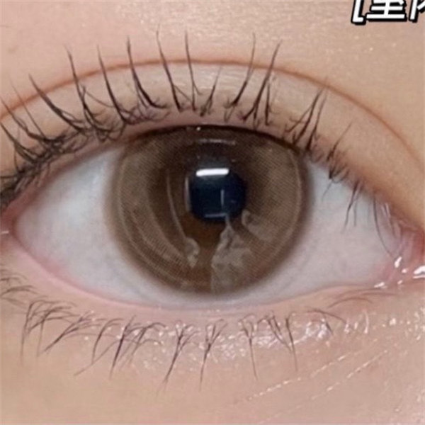 【0208】月抛 BROWN/棕 0-1000度