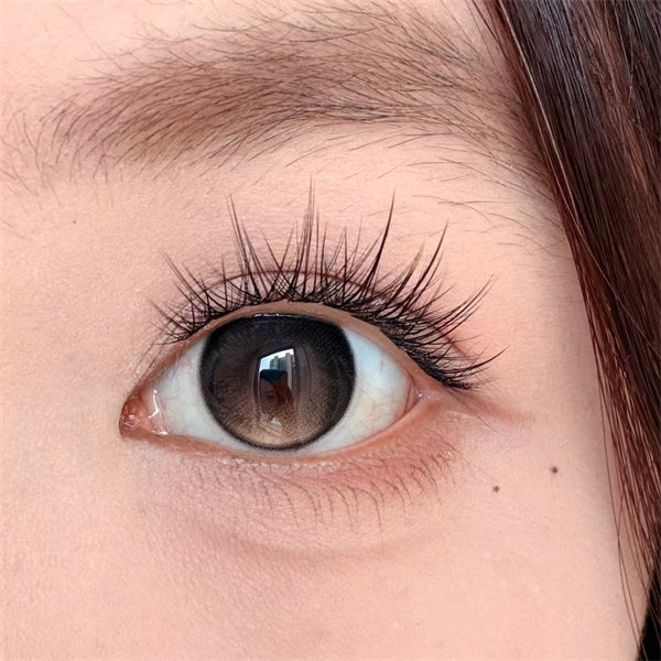 【0670】半年抛 BLUE/BROWN/GRAY 藍/棕/灰 0-800度
