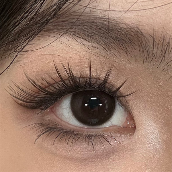 【0661】日抛 BROWN/BLACK 棕/黑 0-800度