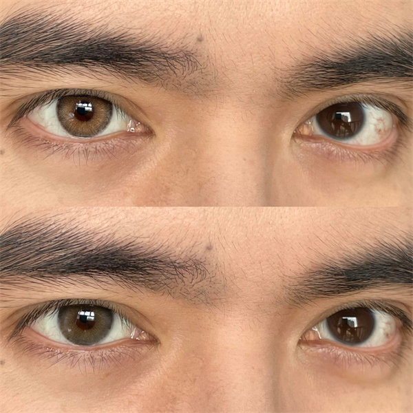 【0652】半年抛 BROWN/GREEN 棕/綠 0-1000度