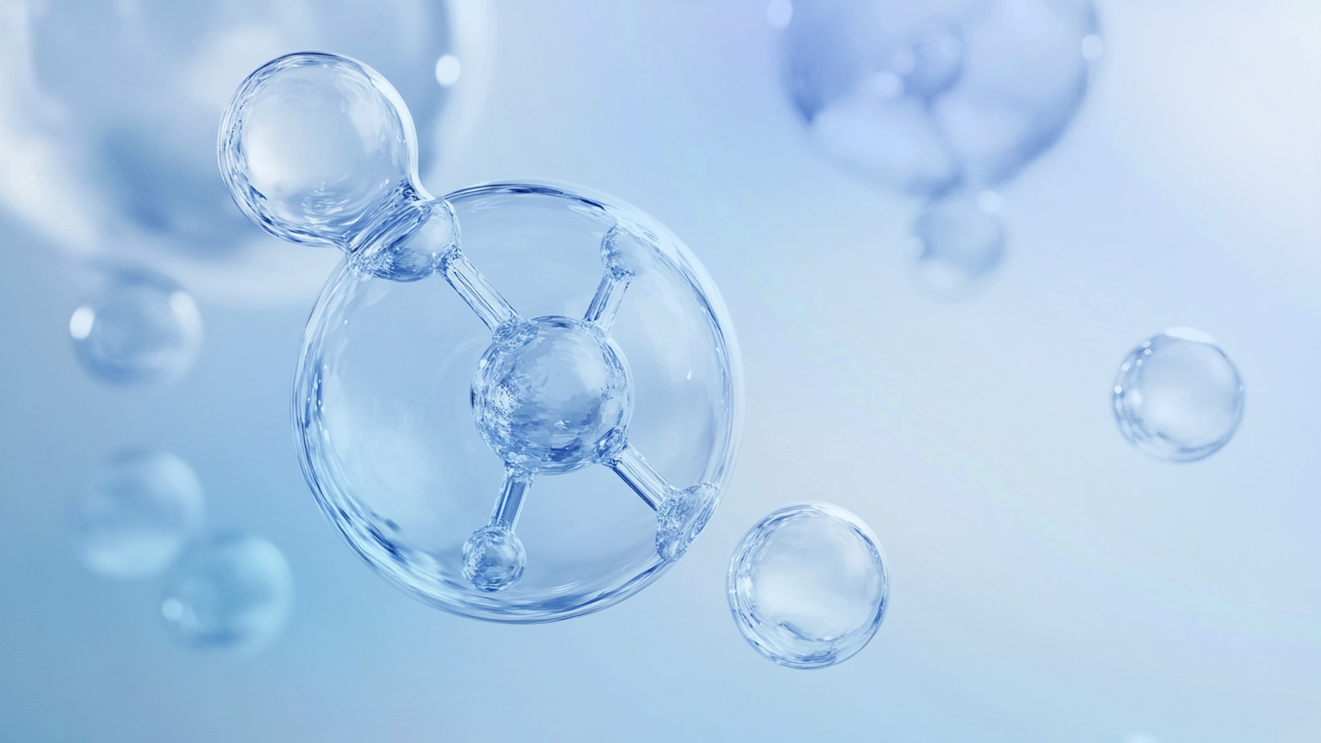 工业霉腐微生物菌种数据库 