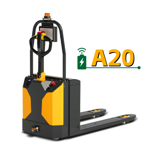 A20