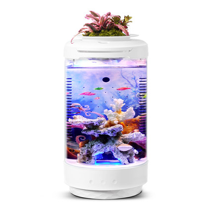 Acrylic Fish Tank Aquarium Desktop Amphibious Eco Plastic Fish Farming ...