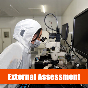 External Assessment