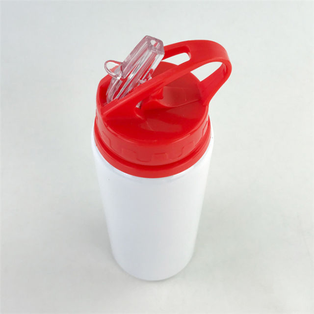 20oz Aluminum Water Bottle with Straw