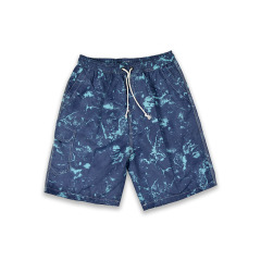 C00360 MEN'S BOARD SHORTS