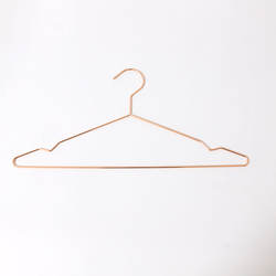 Inspring stainless steel wire cloth hanger
