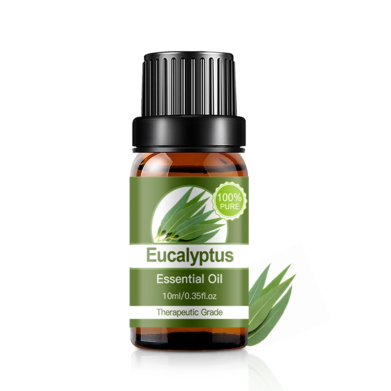 WATERCOME Natural Organic Pure Eucalyptus Essential Oil Massage Aromatherapy Diffuser 10ml Oil