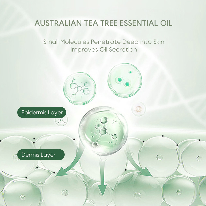 Amource Tea Tree Essential Oil for Remove Acne Relieves Oiliness Soothes Red Pimples Lighten Acne Scars 10ml