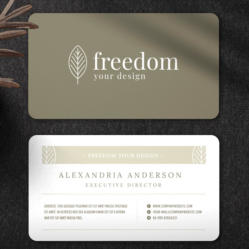 Custom Businees Cards- Double side 100/200/300/400/500pcs