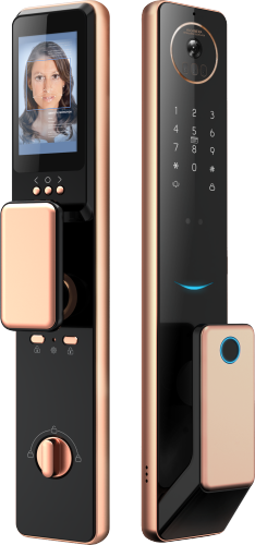 Best Selling Digital Lock Automatic Fingerprint Smart Face Lock With Camera And Doorbell