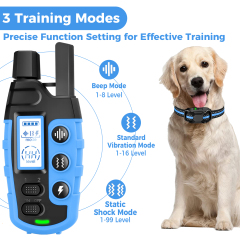 SMART PET TRAINING