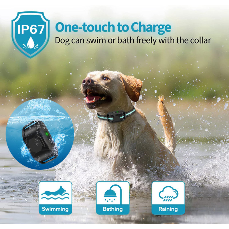 SMART PET TRAINING