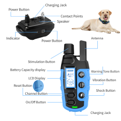 SMART PET TRAINING