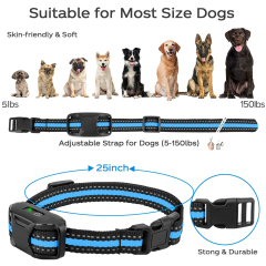 SMART PET TRAINING