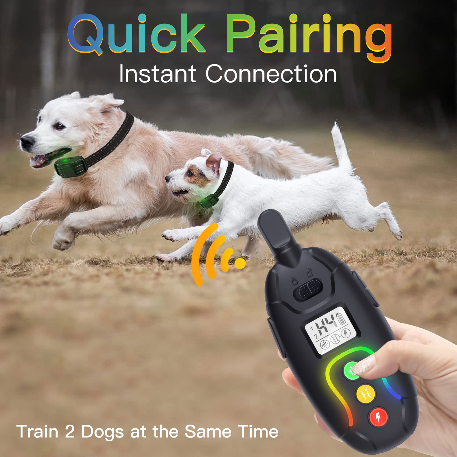SMART PET TRAINING